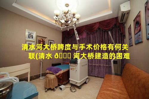 清水河大桥跨度与手术价格有何关联(清水 🐘 河大桥建造的困难与挑战)